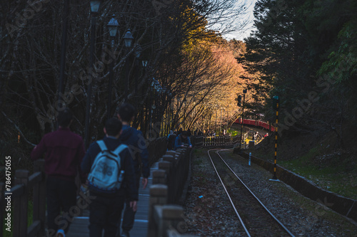 taiwan.chiayi​ 13.2.2023 Unusual tourists strolling on a wooden bridge beside the railway on Alishan Mountain, Taiwan, in the morning after witnessing the sunrise.