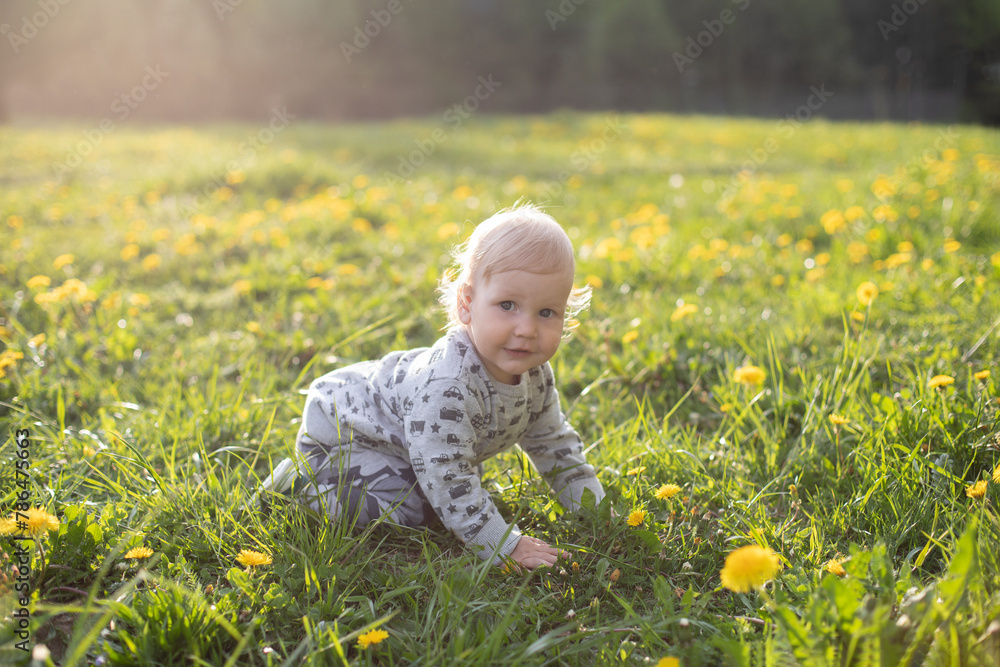 a one-year-old fair-haired boy sits on a sunny day in a meadow with yellow dandelions
