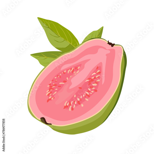 juicy green pink cut guava with leaves. Isolated vector summer fruit on white background for design photo