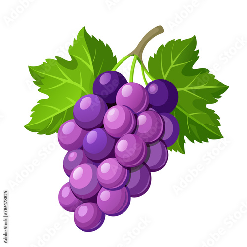 ПечатьRed table grapes. Fresh fruit from which wine is made