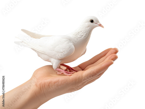 Hand Releasing Dove