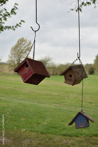 Wooden Birdhouses in a Tree