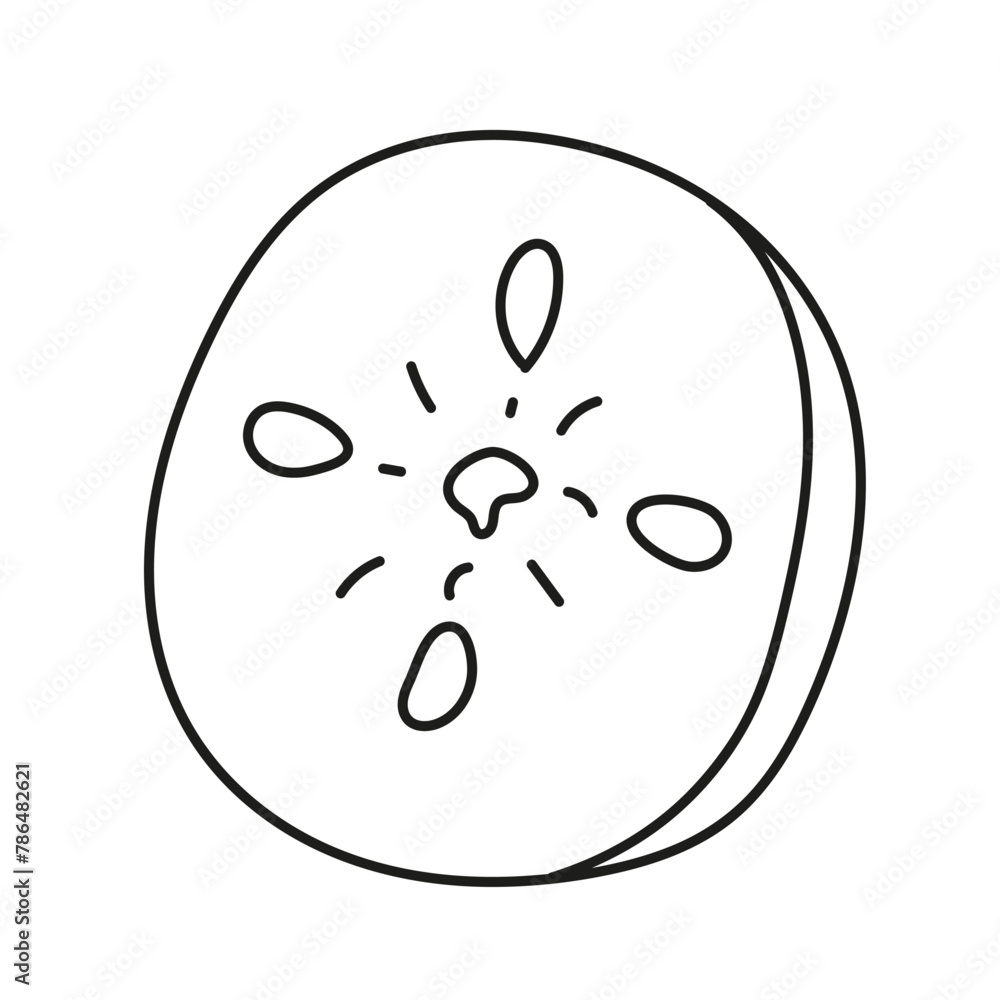 Cucumber slice. Vector illustration in doodle style Cucumber slice. Vector illustration in doodle style