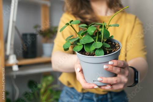 Young woman watering indoor plants in her house. Beautiful young woman taking care of house flowers in her flat. Jungle concept in her home.