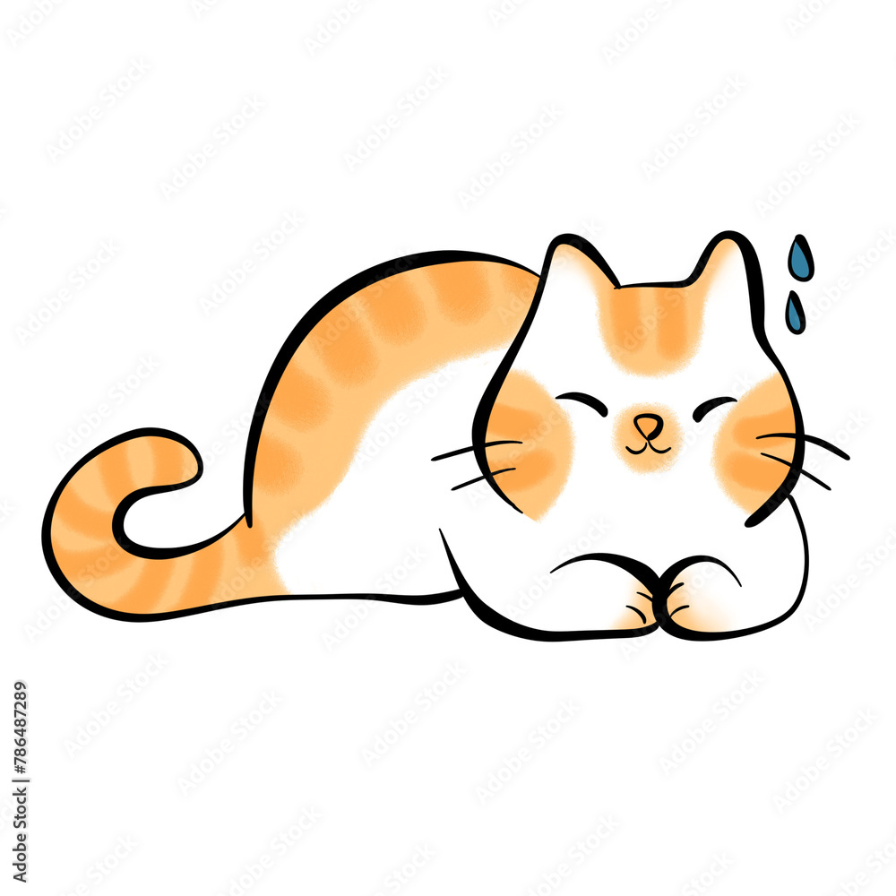 Fototapeta premium cute orange cat