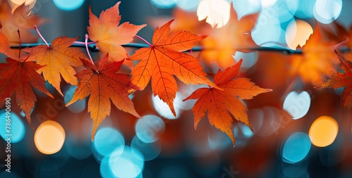 Background featuring beautiful orange-red autumn leaves.