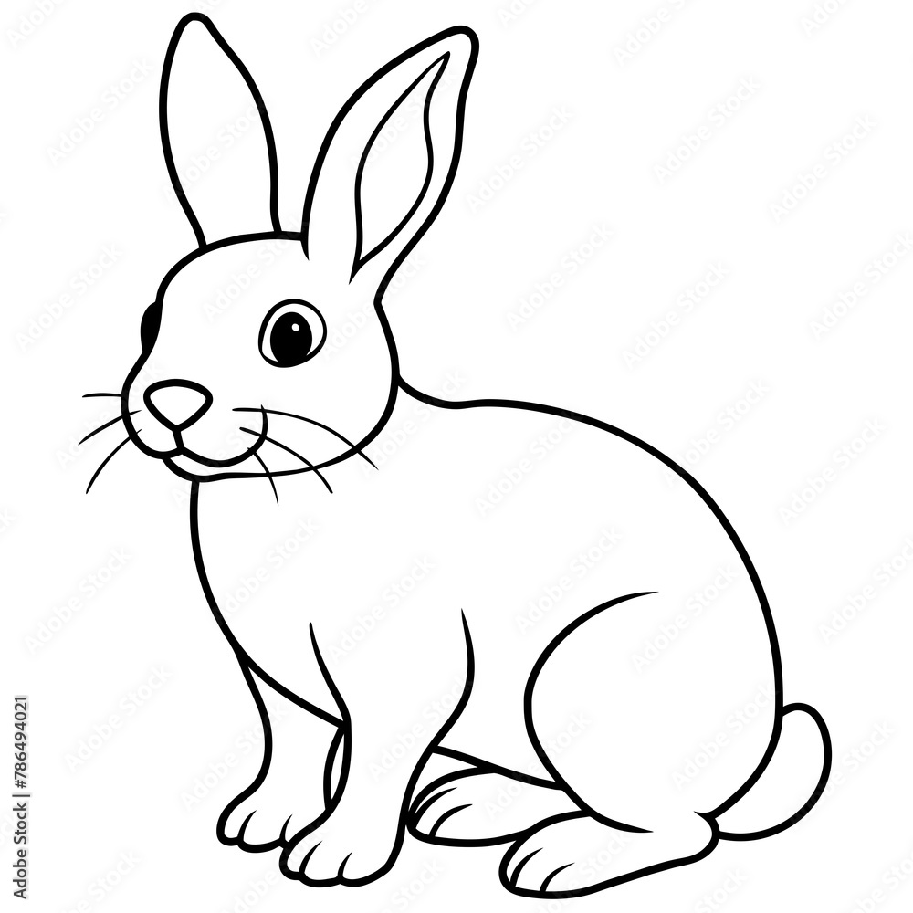 white rabbit on white white rabbit on white