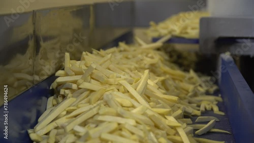 French fries production. Conveyor. Making fast food. Factory for the production of food. French fries. Golden potatoes. Washing food. Packing food. 