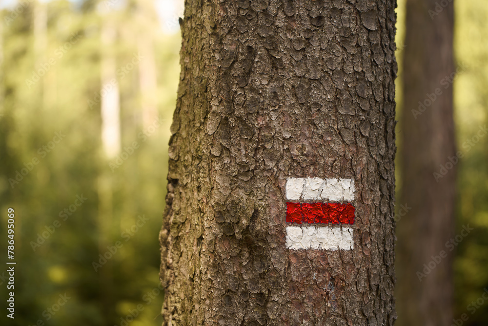 Naklejka premium Trekking Signpost. Red Marker for Forest Trails and Adventures