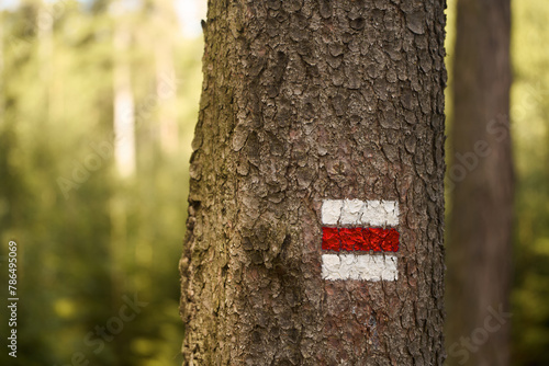 Trekking Signpost. Red Marker for Forest Trails and Adventures
