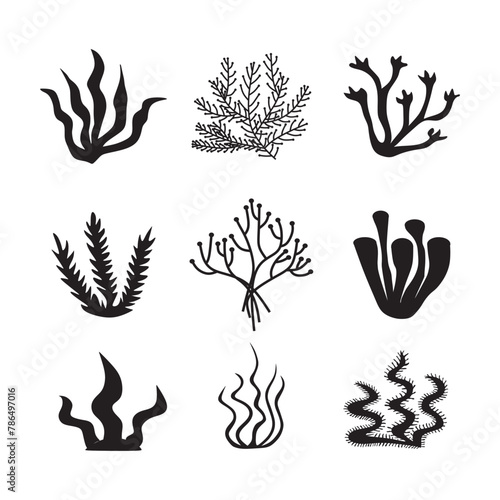 Seaweed icons set - nature, food trends concept. Black icons isolated on white background