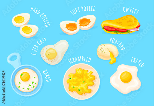 Cooking eggs method. Chicken egg preparations cook ways, fried baked soft or hard boiled scrambled omelette poached with salt for gourmet various methods, neat vector illustration