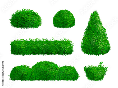Realistic hedge. Hedges vegetation ornamental shrub, topiary background boxwood foliage evergreen grove park house garden shrubbery grass 3d green plant, exact vector illustration