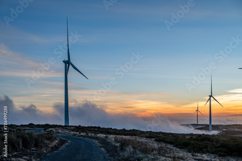Wind turbines on the plateau, Madeira © Aleksandra