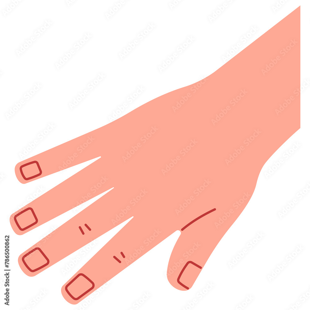 Back of hand cute, png illustration. Back of hand cute, png illustration.