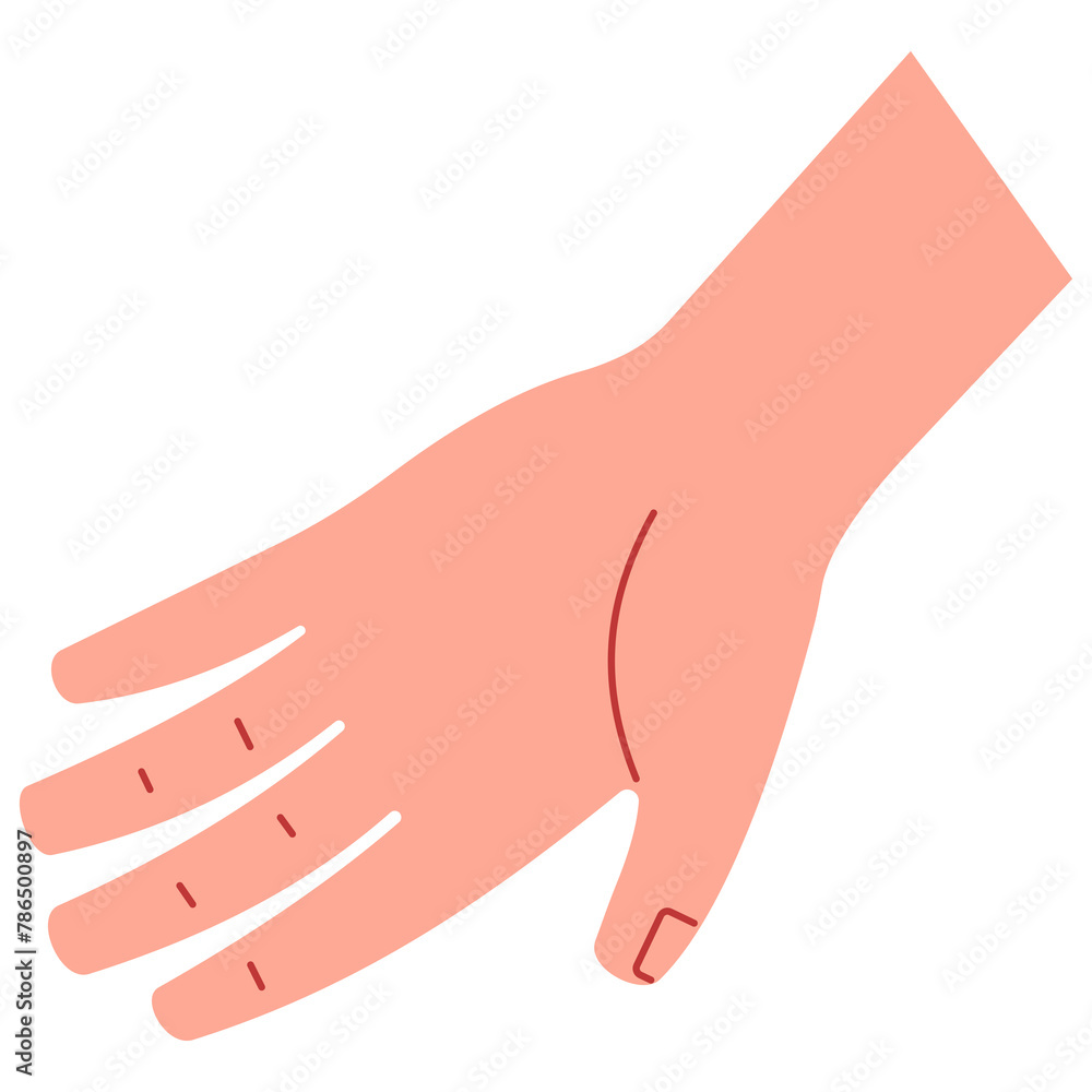 Hand front cute, png illustration. Hand front cute, png illustration.