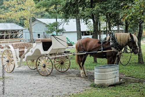 Horse and buggy