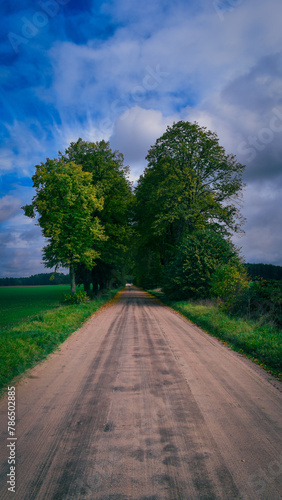 Wiejska droga i zielone drzewa.
