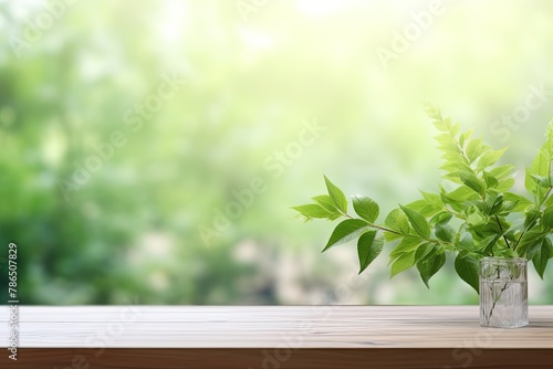 Empty Wooden Table  Blurry Bokeh Green Natural Background. Autumn Spring Morning  Soft Light  Product Display  Ads Banner
