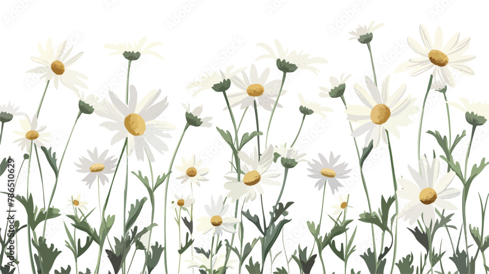 White chamomiles blooming in a garden flat vector isolated