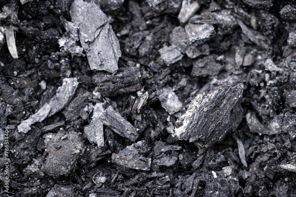 coal on the ground coal on the ground