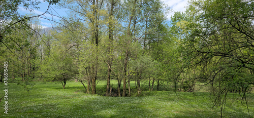 countryside landscape with green meadow, trees and blue sky