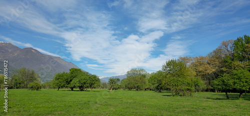countryside landscape with green meadow, trees and blue sky