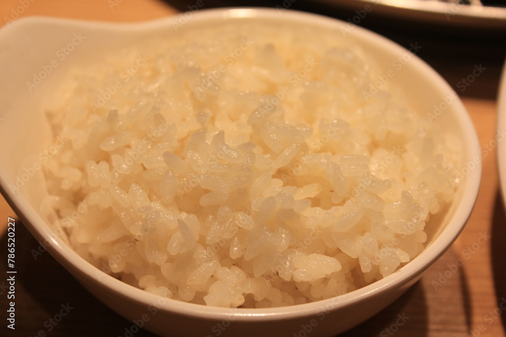 A bowl of cooked rice