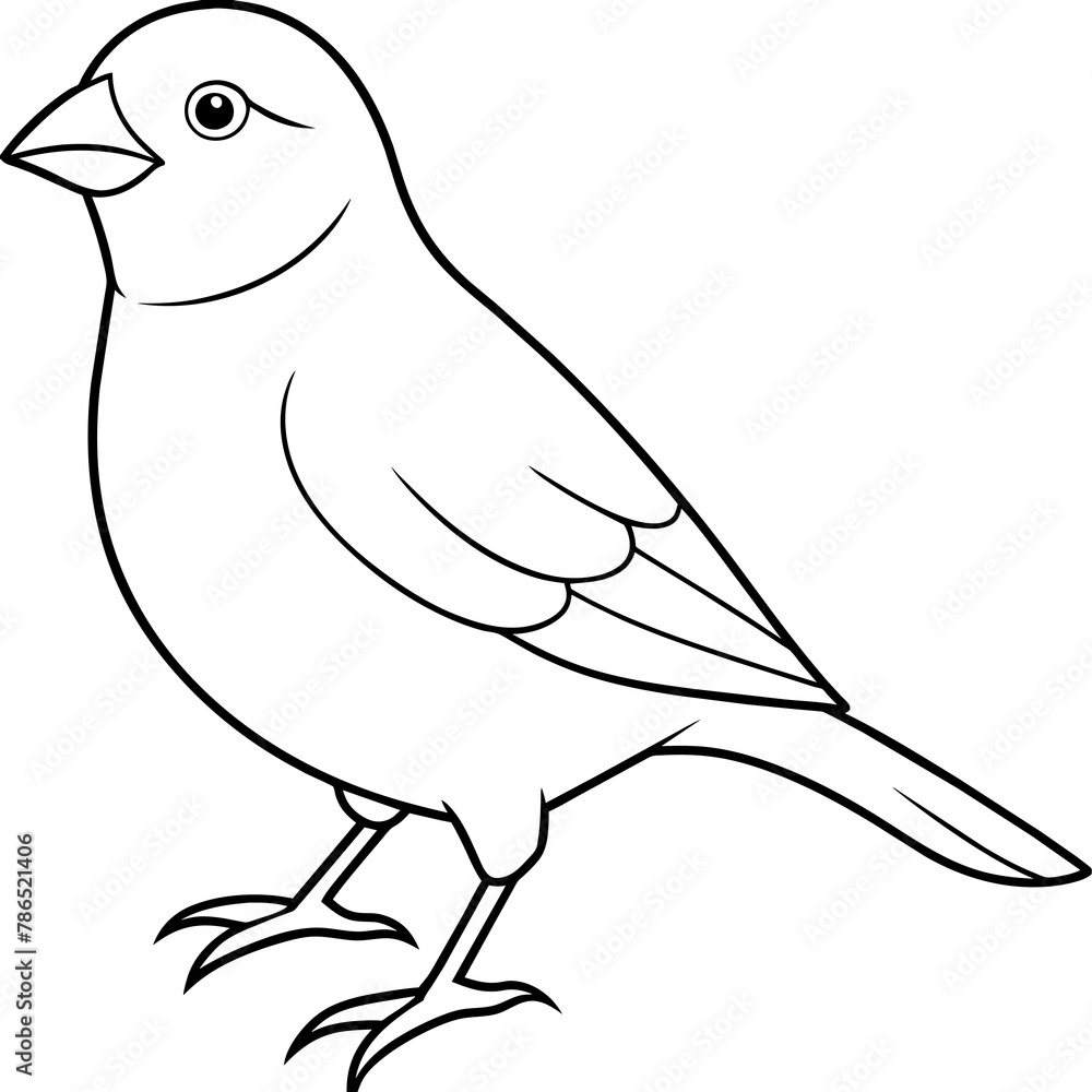 Obraz premium sketch of bird, kids coloring book page