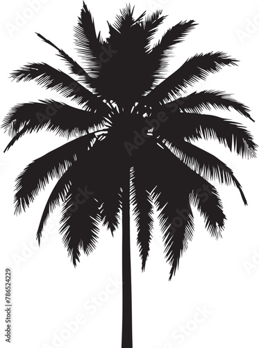Palm Tree Silhouette Vector © ashrafulalampro