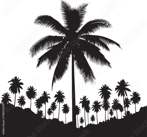 Palm Tree Silhouette Vector