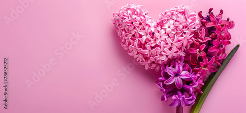 Pink and purple hyacinth flowers on pink background with copy space. Mother's day background. © Pixelmagic