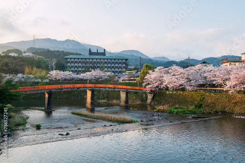 Red bridge and sakura with hot spring hotel at sunrise, Ureshino © Blanscape