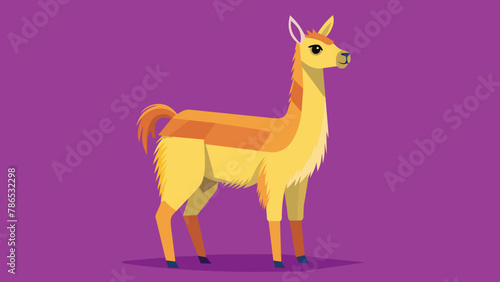 Vector illustration of cute character south America lama. Isolated cartoon baby llama. Hand drawn Peru animal guanaco, alpaca, vicuna. Drawing for print, fabric.