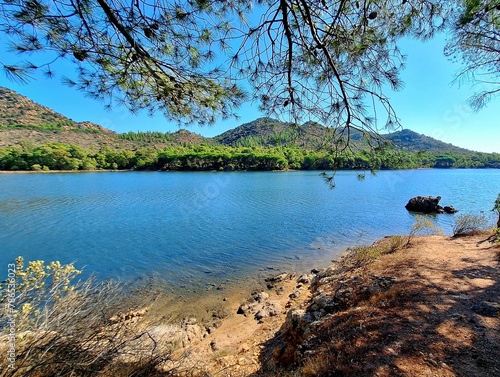 Stagno di Sa Curcurica, Sardinia, idyllic lake and tree in Italy in summer photo