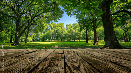 Open Empty Wooden Table with Green Park Background photo