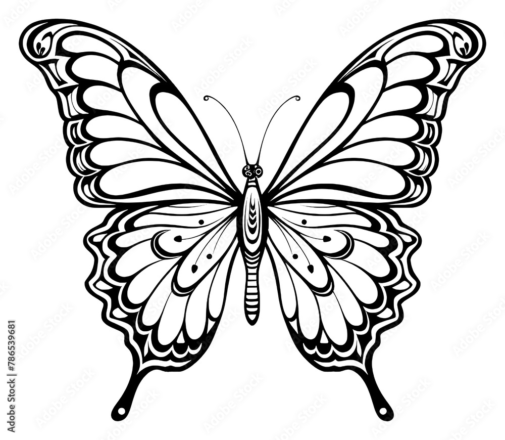PNG Butterfly sketch drawing animal. PNG Butterfly sketch drawing animal.