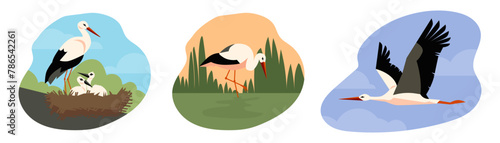 Stork birds in wildlife nesting and flying in the sky, flat vector isolated.