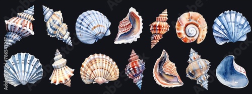 Produce a series of realistic watercolor seashell clipart in varying sizes and shapes, focusing on intricate details and vibrant colors photo