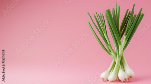 scallions A photorealistic illustration against pastel pastel pink background with copy space for text or logo, beautifully illuminated by studio lighting © Cloudspit