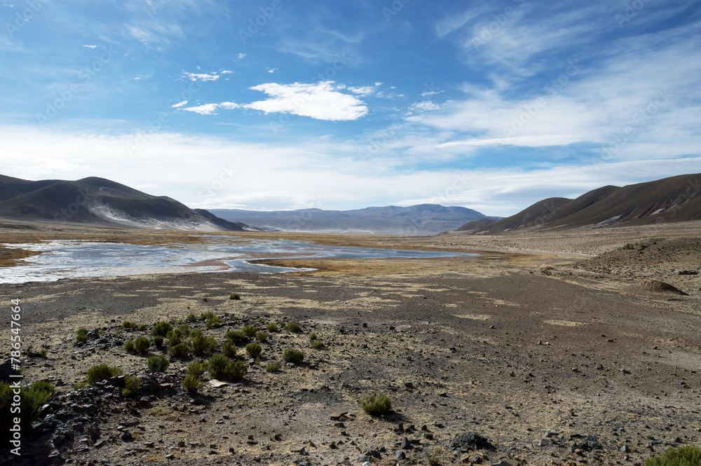 Landscape in Bolivia consisting of mountains and plain with water surrounded by yellow vegetation