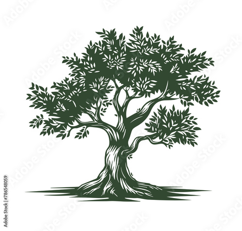 Olive tree, hand drawn style.	
