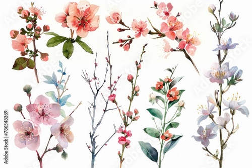 A collection of watercolor flowers with a variety of colors and shapes