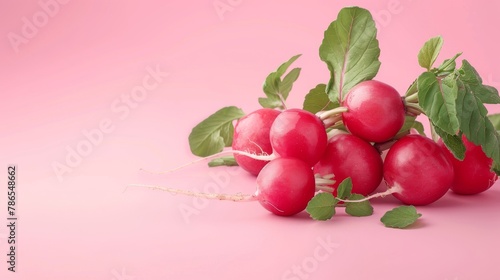 Radishes A photorealistic illustration against pastel pastel pink background with copy space for text or logo, beautifully illuminated by studio lighting 