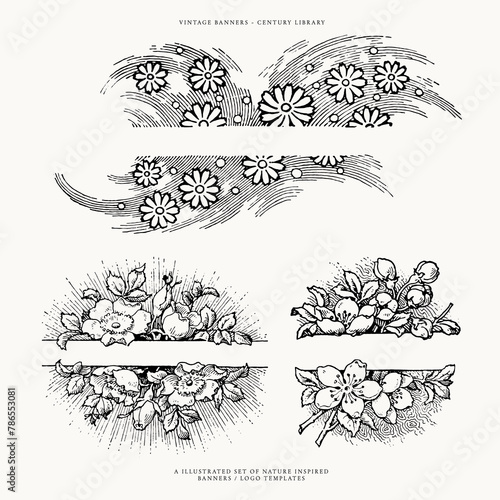 Floral Banner Divider Line Art Illustrations for Wedding Invitations (ID: 786553081)