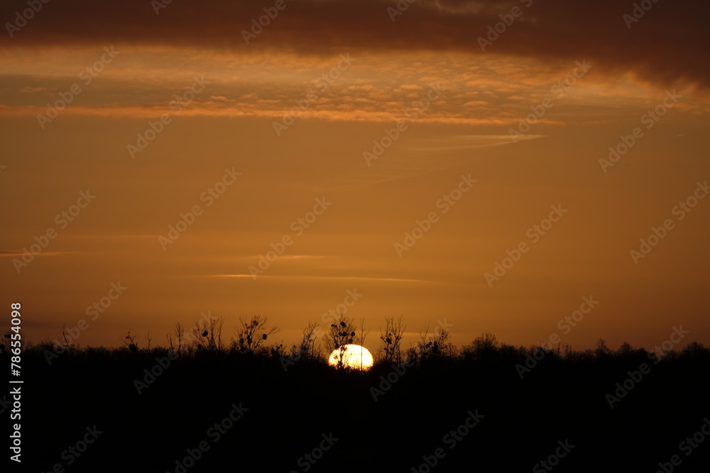 Obraz premium Sonnenaufgang am 17.03.2024