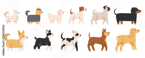 Cute dogs of different breeds set. Diverse small and medium doggies. Canine animals. Side view. Flat Vector illustration isolated on white background