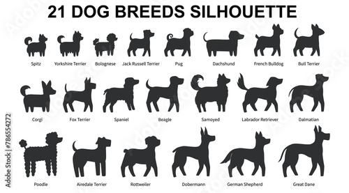 Collection of 21 Dog Breeds silhouette. Side view. Vector illustration isolated on white background