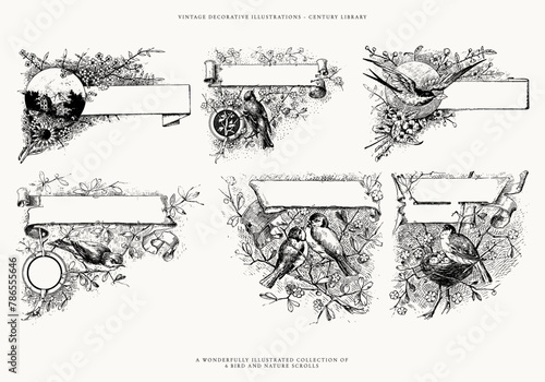 Vintage Nature Inspired Banners & Scroll Isolated Illustrations (ID: 786555646)