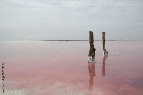 Pink Lake in the Kherson region, Ukraine. Algae turn the water pink.